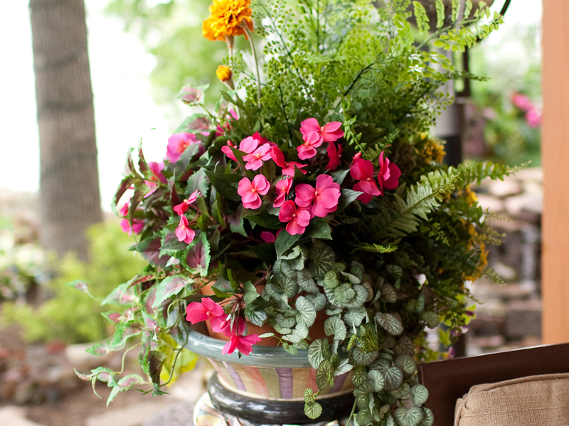 Pink flowers and plants in vase