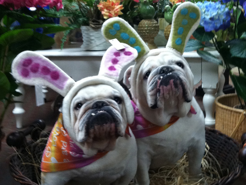 Gracie and Maddie waiting for the Easter Bunny