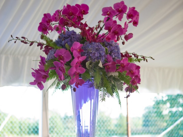 Vase of purple flowers